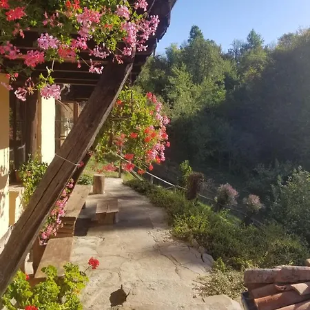 Kandaferi 2