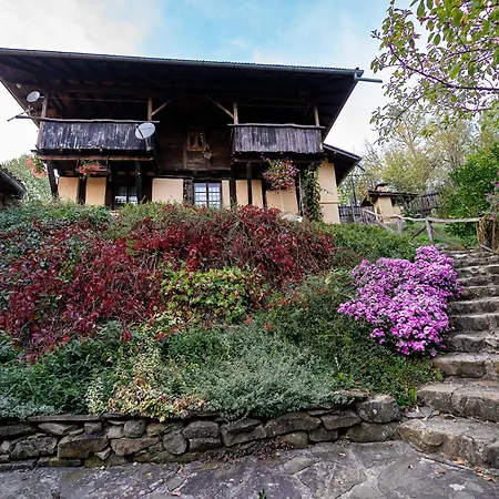 招待所 Kandaferi 2 埃伦娜