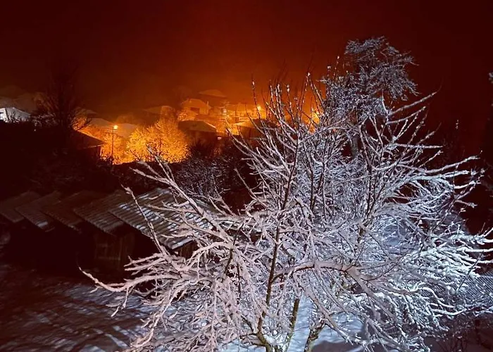 Kandaferi 2 * 埃伦娜