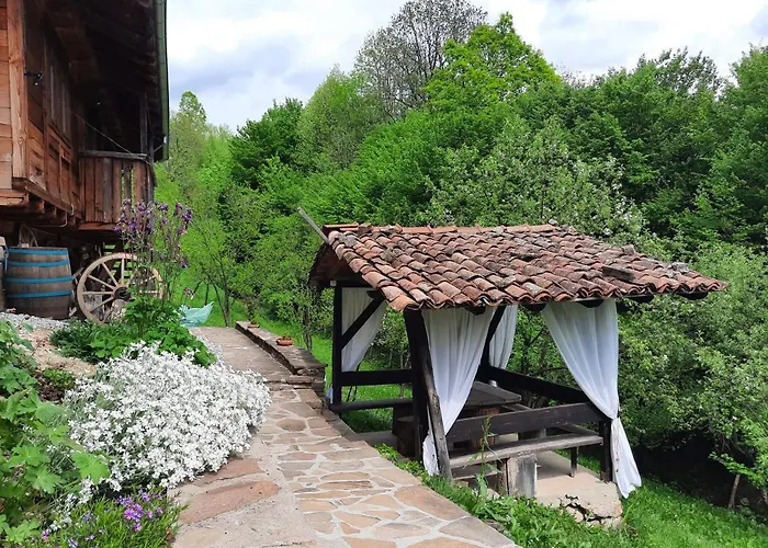 招待所 Kandaferi 2 埃伦娜