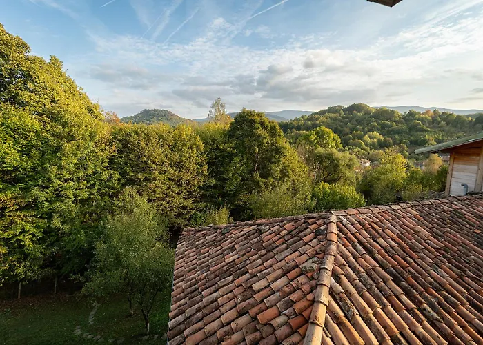 Kandaferi 2 埃伦娜