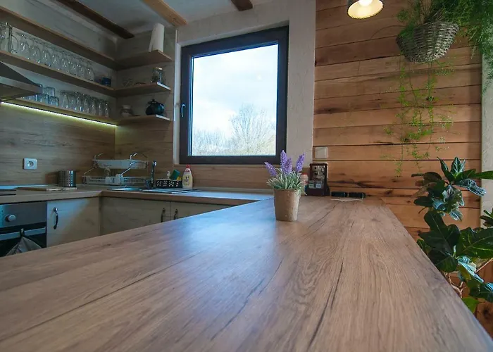 Kandaferi 2 埃伦娜