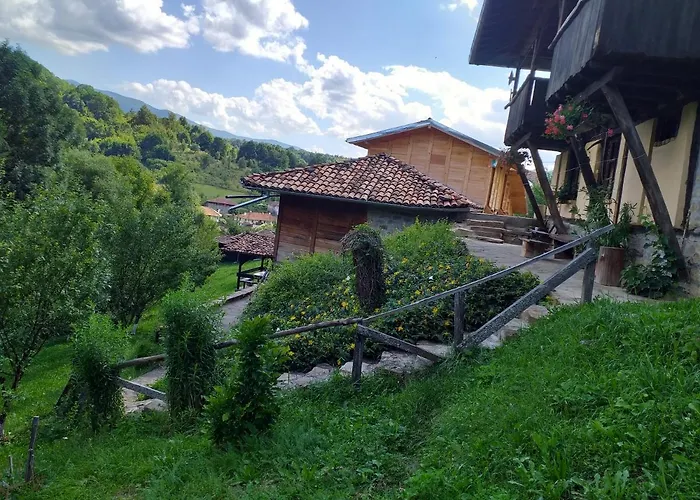 Kandaferi 2 埃伦娜